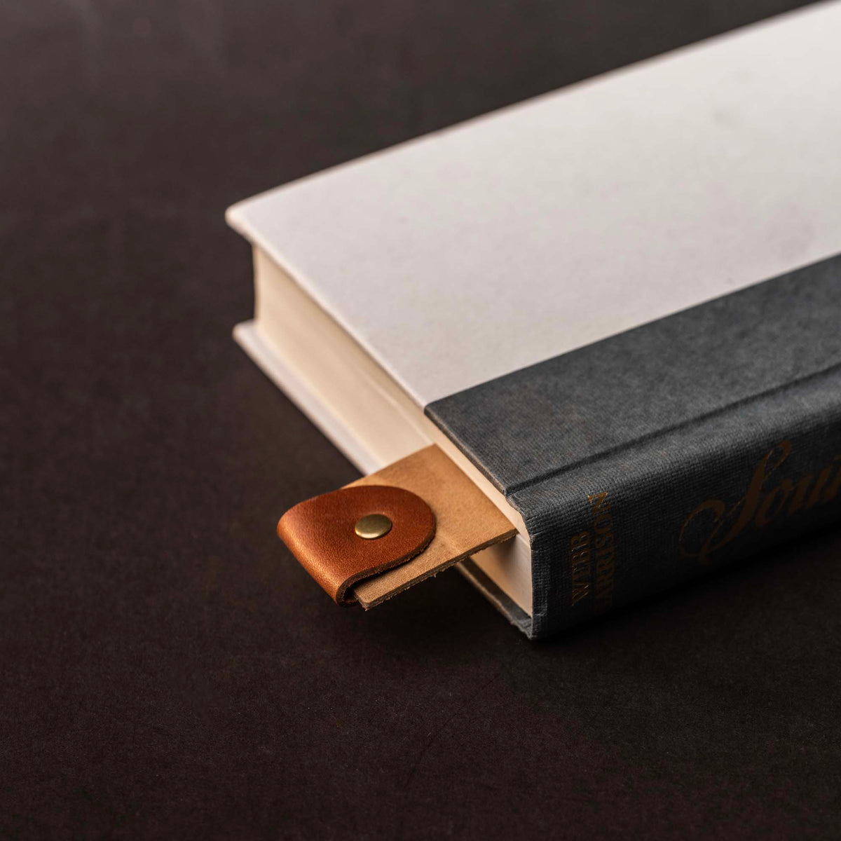 The Scribe - Personalized Fine Leather Two-Tone Bookmark